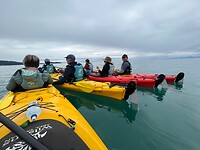 IMG_8659