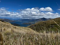 IMG_8776