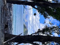 IMG_8788