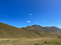 IMG_8536
