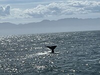 IMG_8606