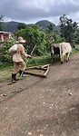 IMG_0231