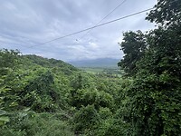 IMG_0410