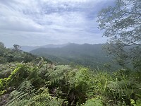 IMG_0539