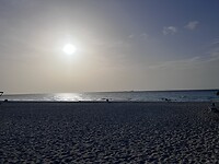 IMG_0778