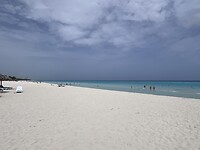 IMG_0762