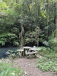 IMG_8486