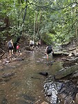 IMG_8499
