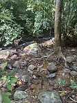 IMG_8505