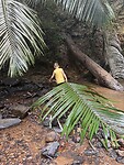 IMG_8513