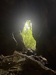 IMG_8521