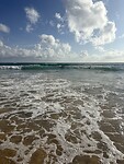 IMG_9019