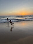 IMG_9037