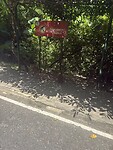 IMG_9007