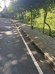 IMG_9009
