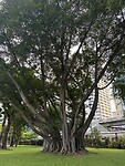 38cf8206-98cc-4bb8-9eff-68638bb52c4d