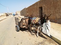 IMG_20181015_151209