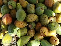 IMG_20181015_153135