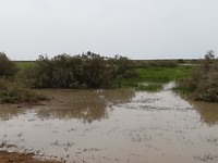 IMG_20181021_150132