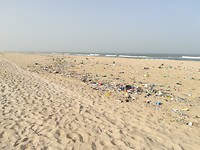 IMG_20181022_085947