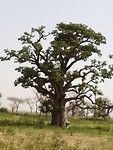 IMG_20181022_135225