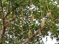 IMG_20181023_094119