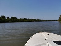 IMG_20181104_103104