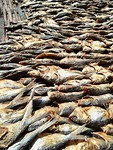 IMG_20181103_144536