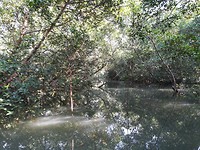 IMG_20181104_093623