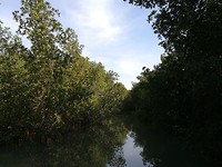 IMG_20181104_093715