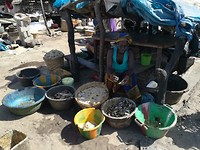 IMG_20181103_144640