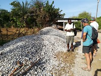 IMG_20181104_090949