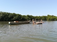 IMG_20181104_103324