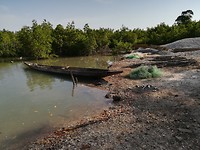 IMG_20181104_091058