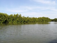 IMG_20181104_092522