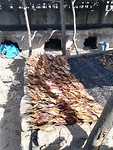 IMG_20181103_144742