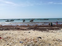 IMG_20181103_143219