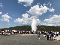 Old Faithful