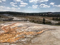 Old Faithful