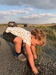 Yellowstone na een uur in de file te hebben gestaan voor......