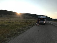 Ondergaande zon, file voor de buffels
