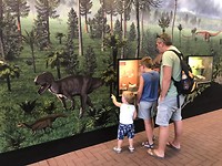 Fossielen van dino’s van 150 miljoen jaar geleden