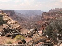 Uitzichtpunt Canyonlands