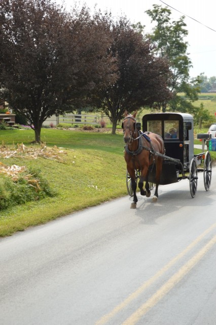 Amish onderweg