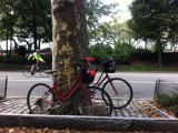 Op de fiets, op de fiets........