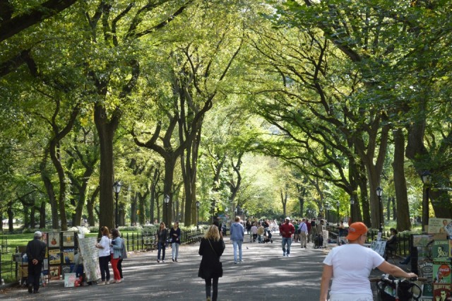 Dit noemen ze : " the Mall". Een lange boulevard met diverse beelden en diverse bomensoorten .
