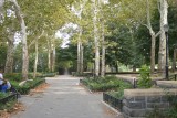 Mooi doorkijkje in het park