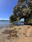 Het strand bij Keri-Keri in de Bay of Plenty