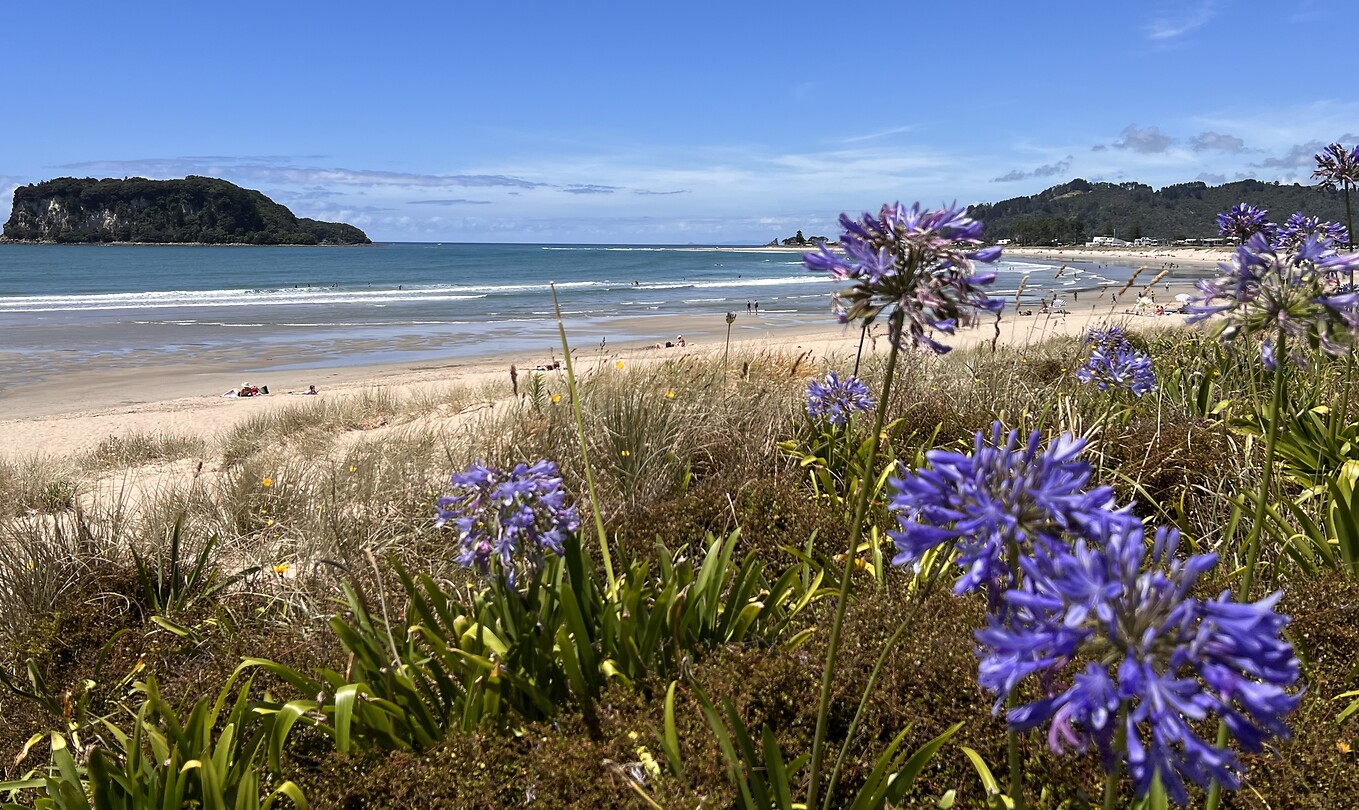 Strand van whangamata