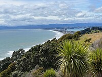 Uitzicht op Opotiki